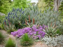 Botanical Gardens