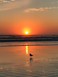 We loved watching the sunrise over the beach each morning.