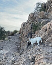 At Watson Lake, two minutes from the house.