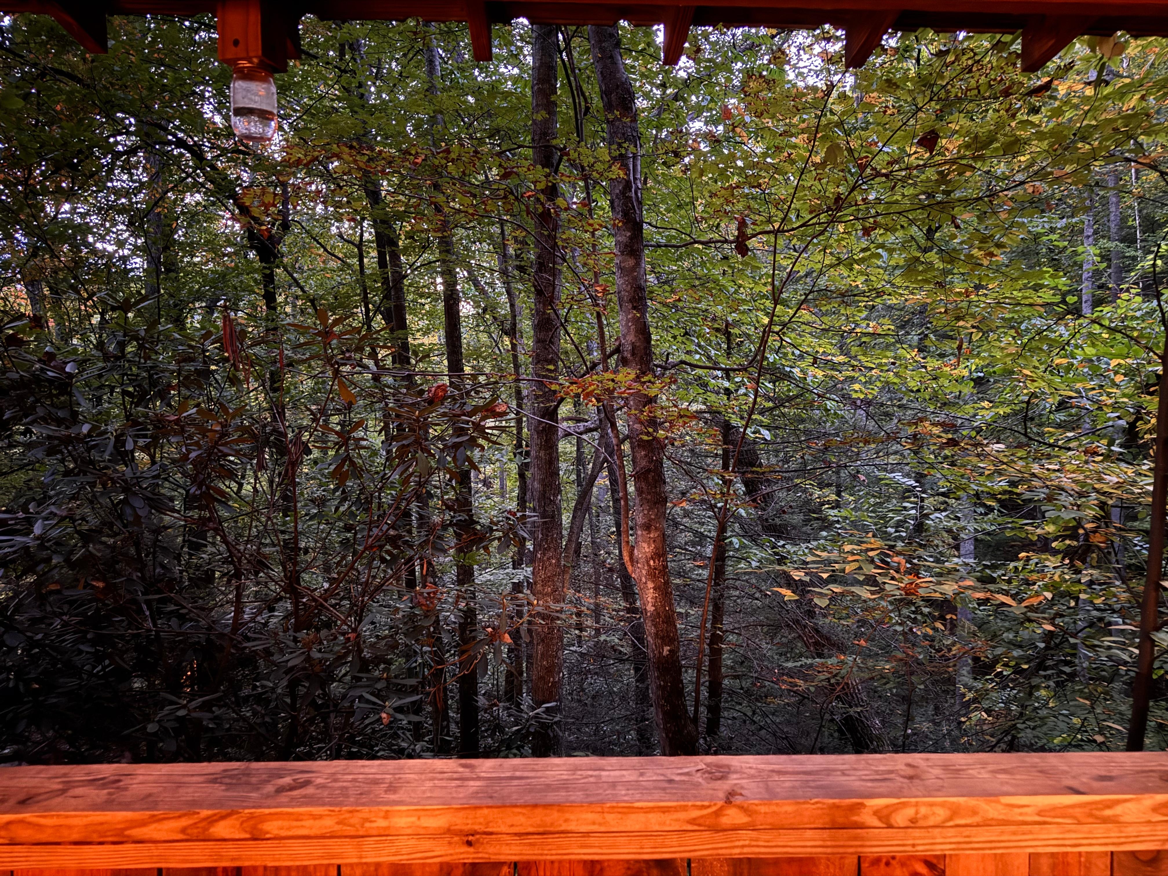 The view from the deck. 