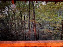 The view from the deck.