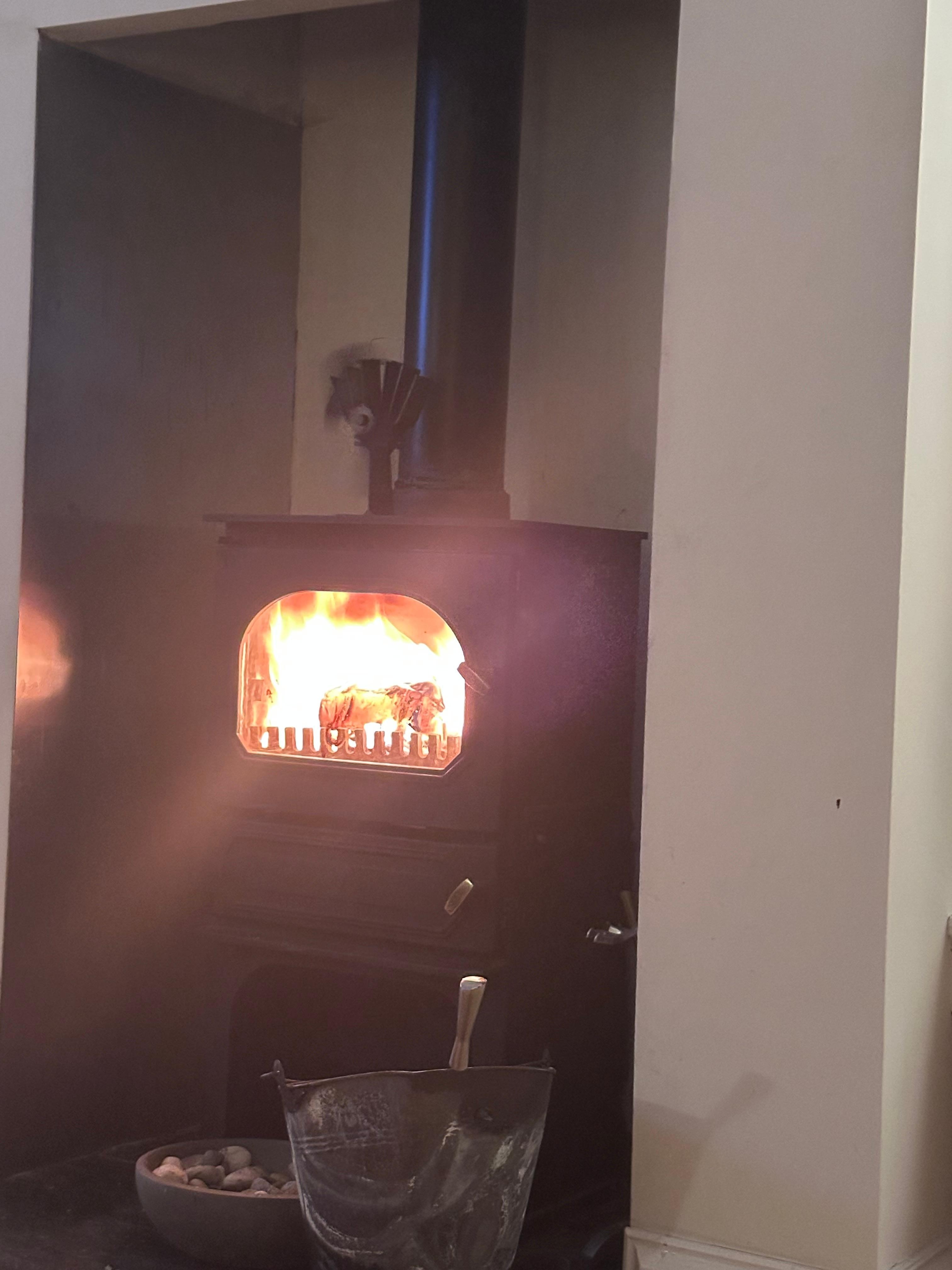 Log fire 
