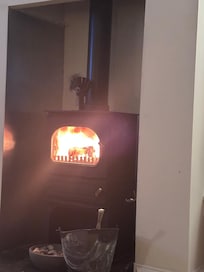Log fire
