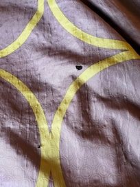Holes in the bedding