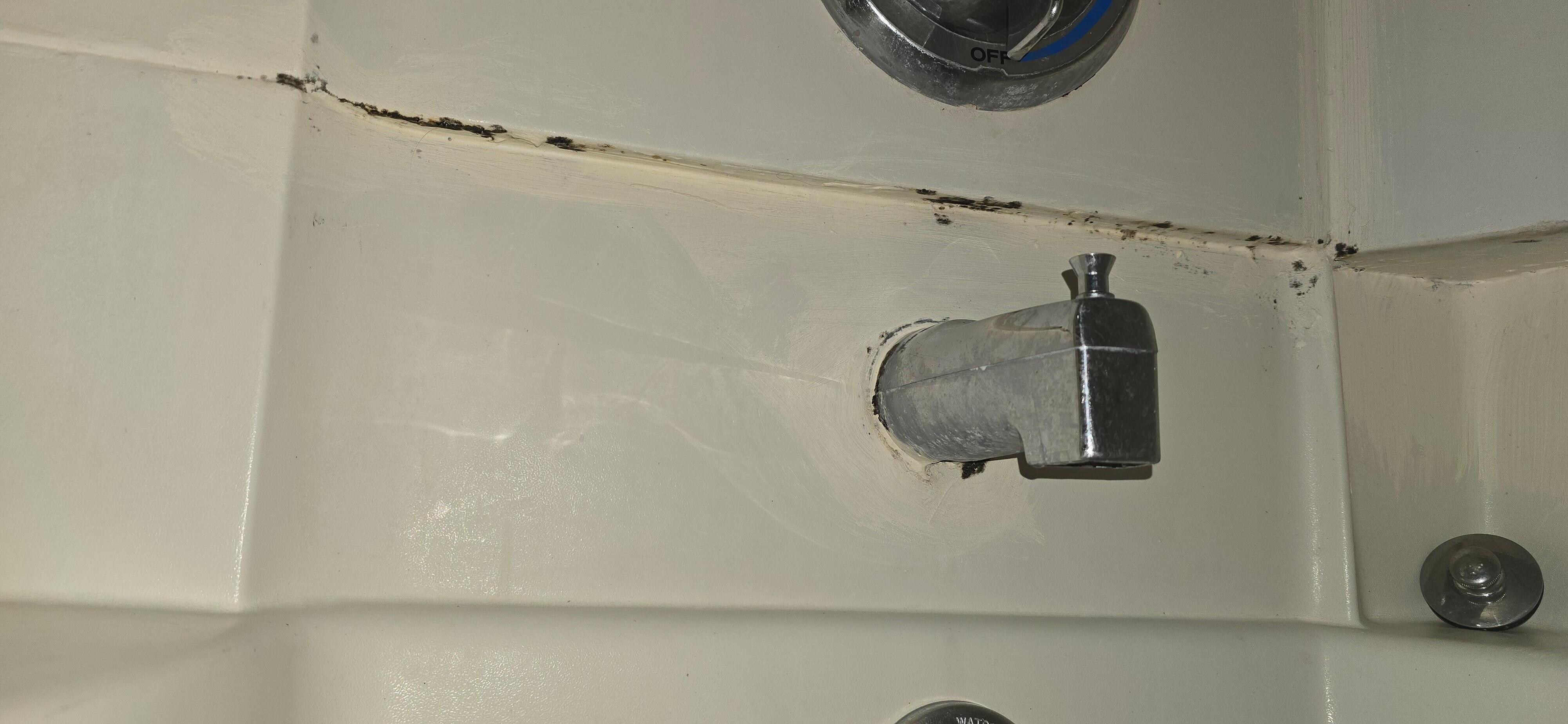 Mold in bathroom one