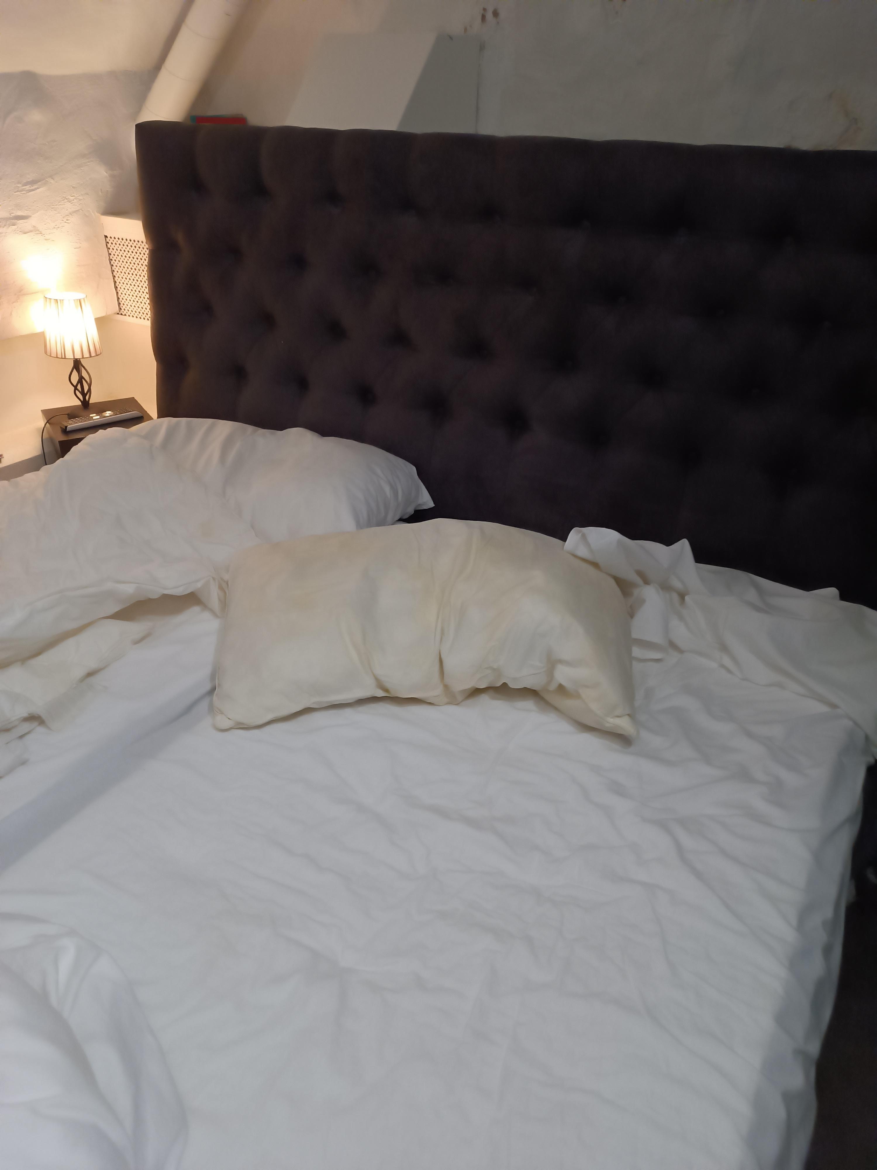 This pillow hasn’t seen a washing machine since the day it was born.