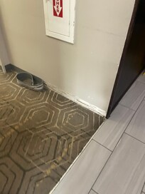 Molding in front of elevator area