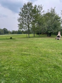 We all loved the big back yard especially the dog!