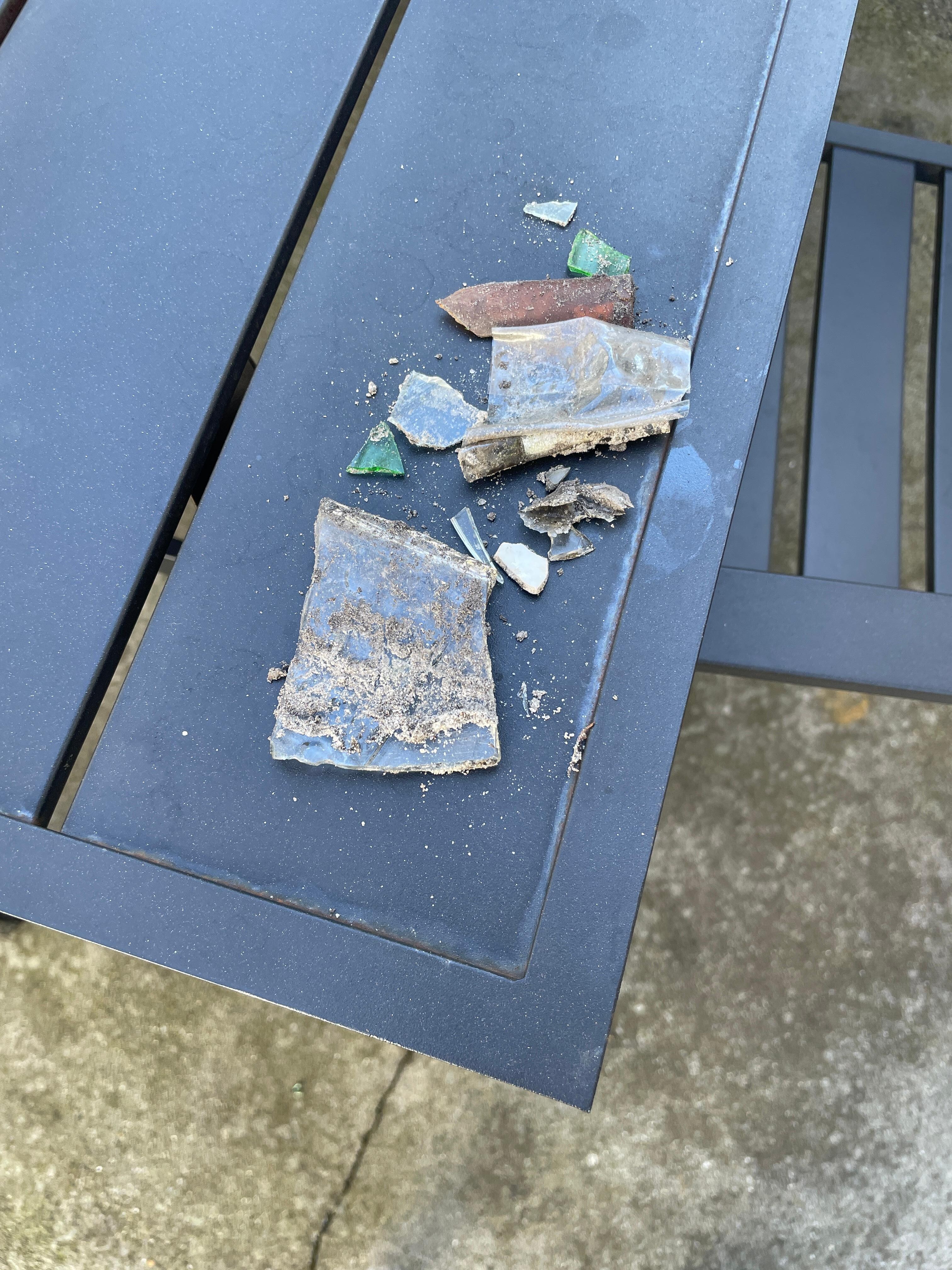 Several pieces of glass found in what’s listed as a pet-friendly backyard