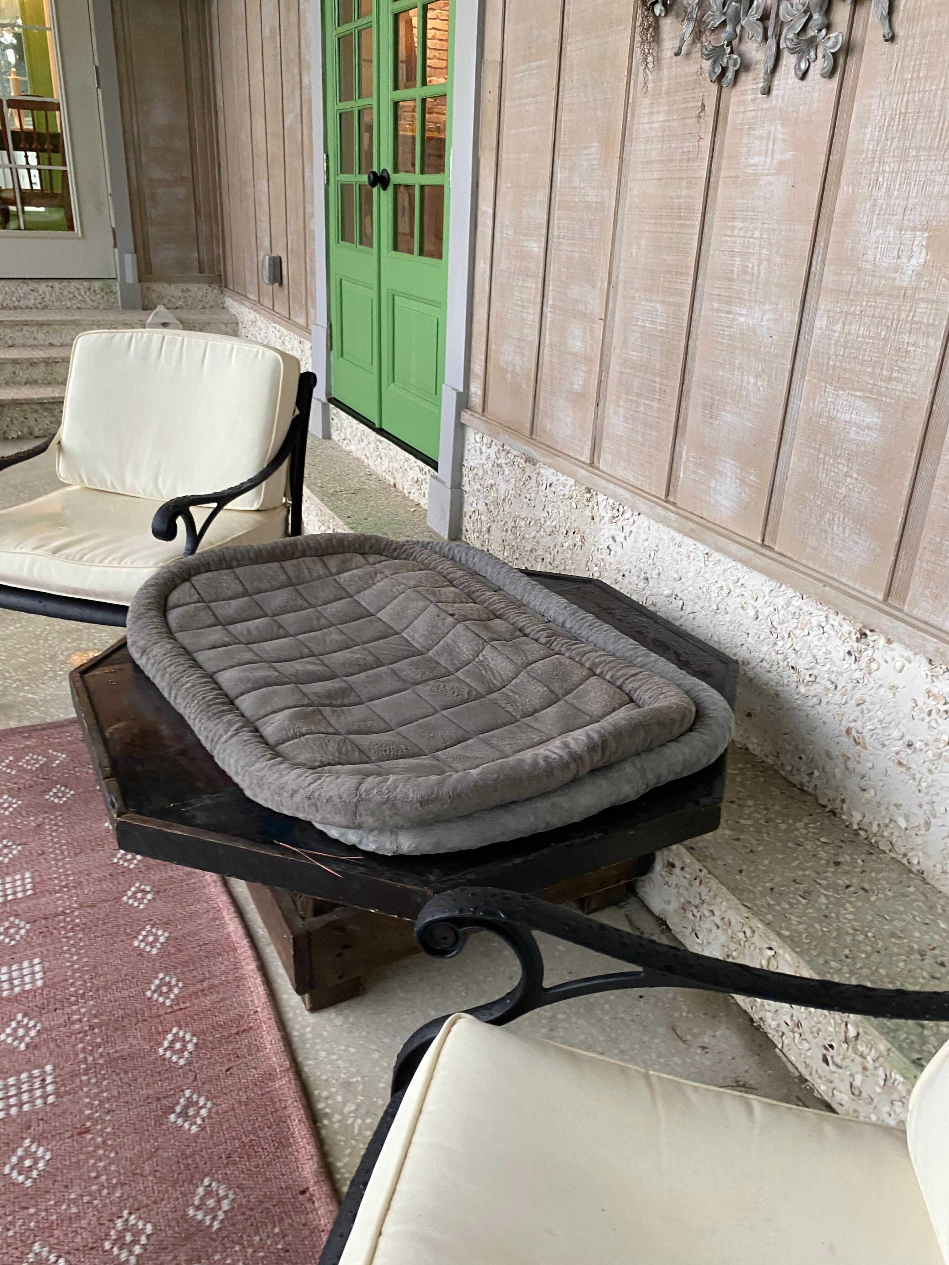 Wet smelly dog beds on screened porch area in a no dogs allowed home 