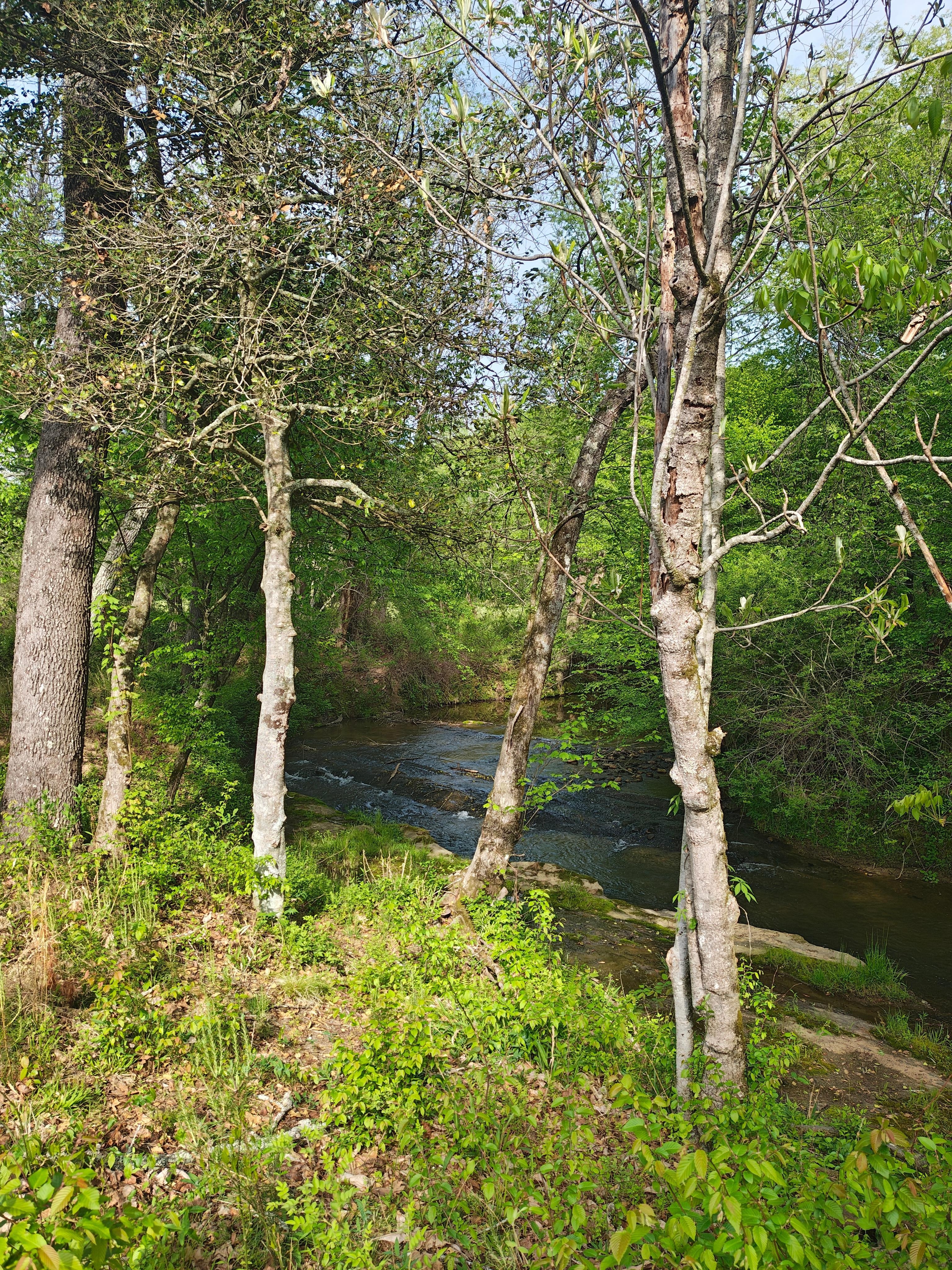Another view of the hike from next to the river