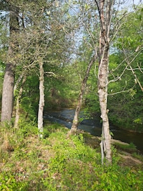 Another view of the hike from next to the river