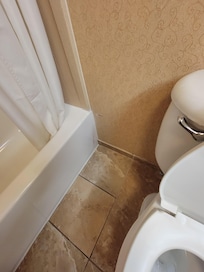 Photos don't do justice as to how disgusting it is. Drywall dust, mold, separated moldings. The air quality was the worst part!!