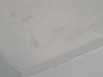 Mold