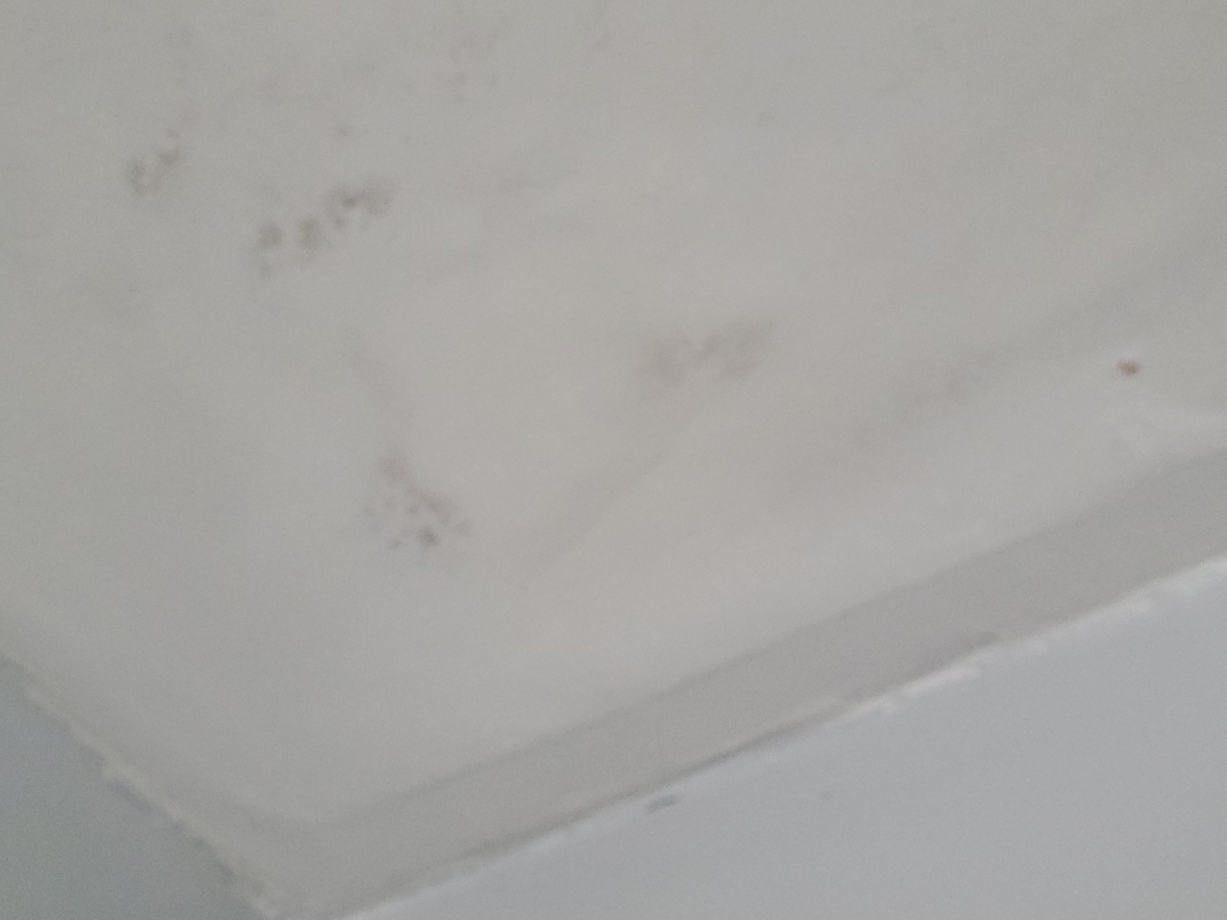 Mold