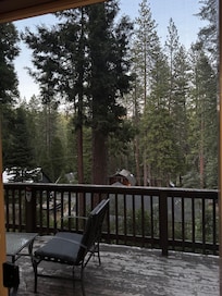 A view outside perfect for quiet morning coffee ☕️