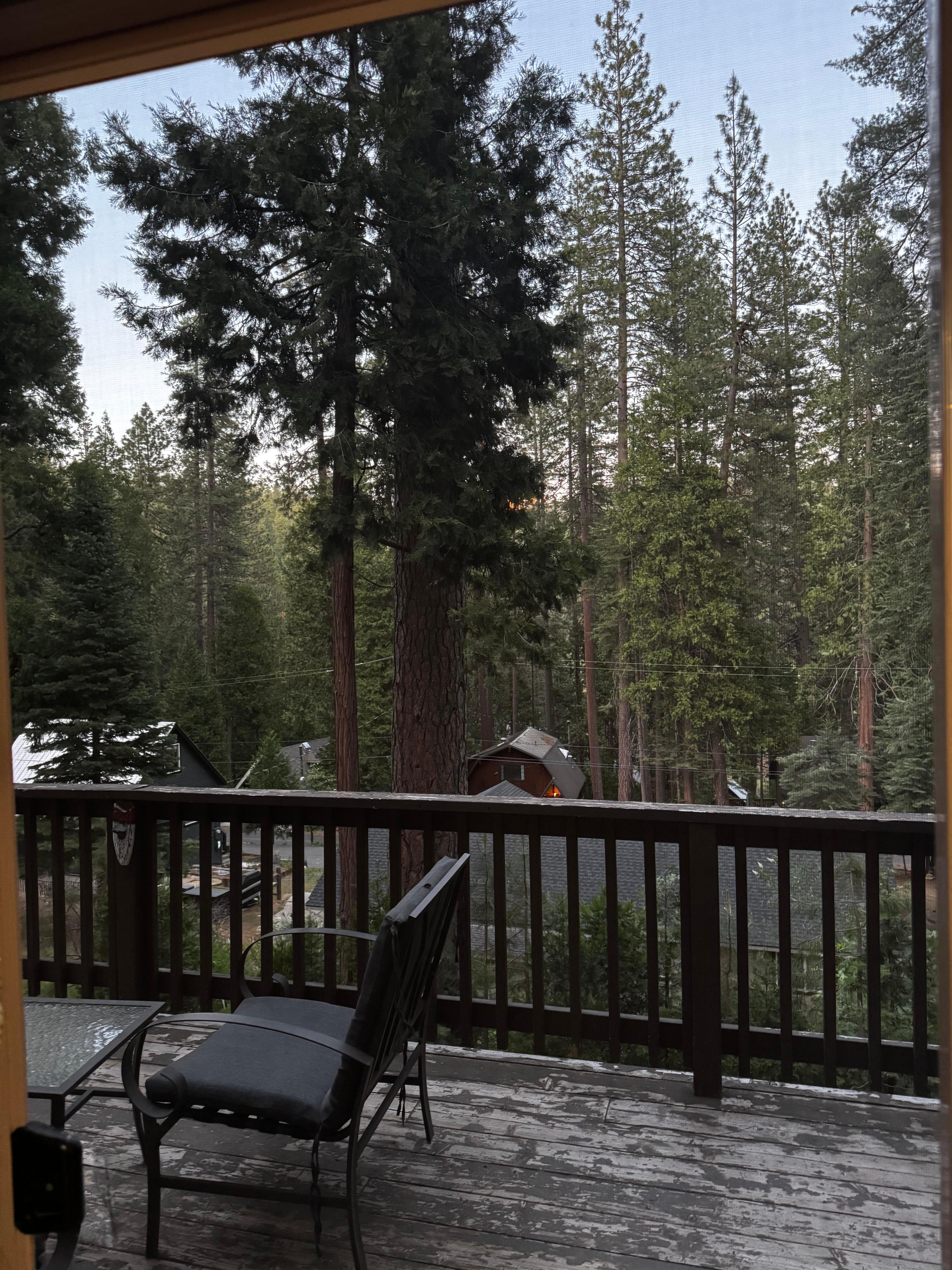 A view outside perfect for quiet morning coffee  ☕️ 