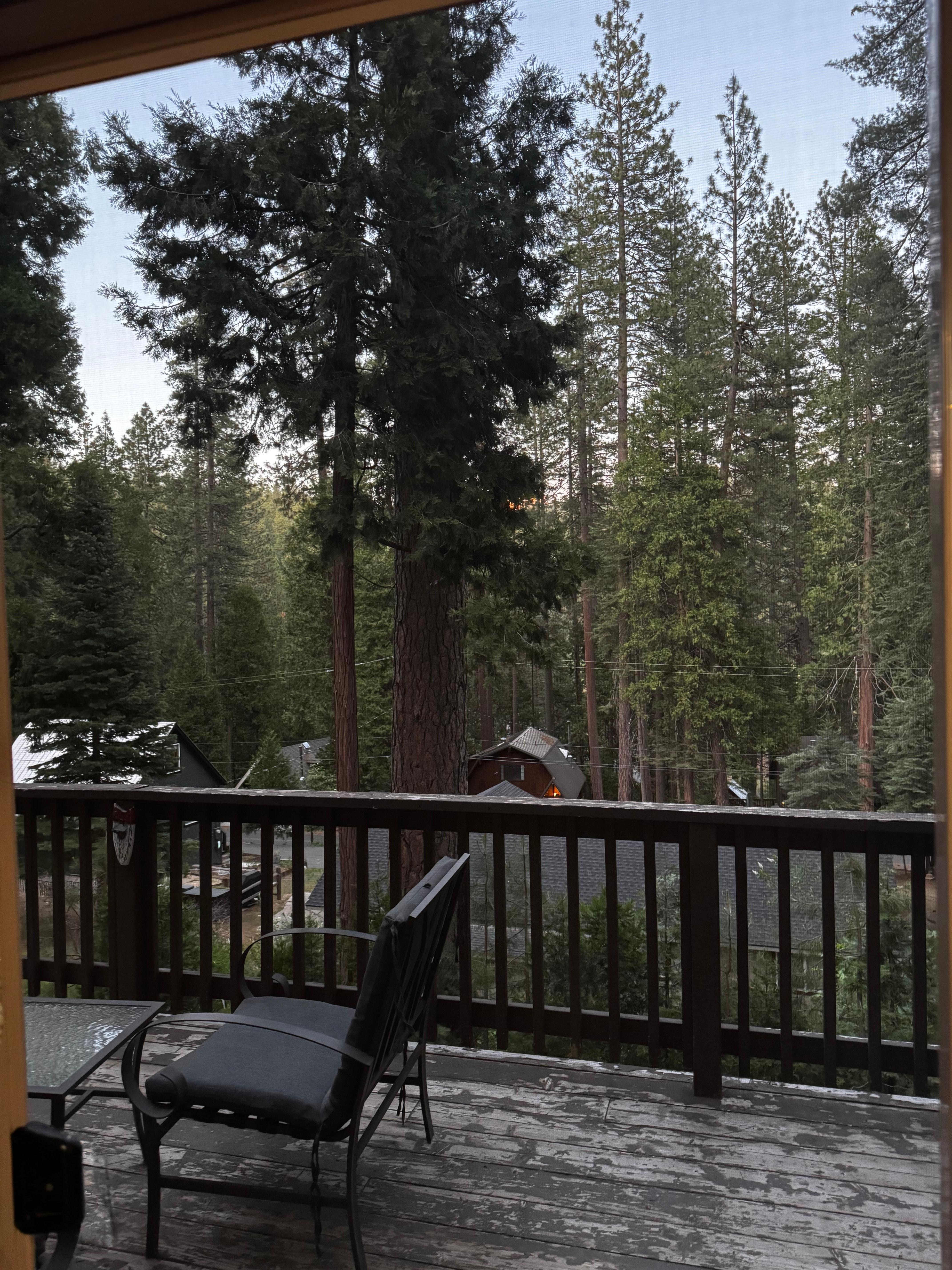 A view outside perfect for quiet morning coffee âïž