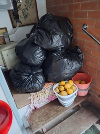 Be greeted by bags of something putrid
