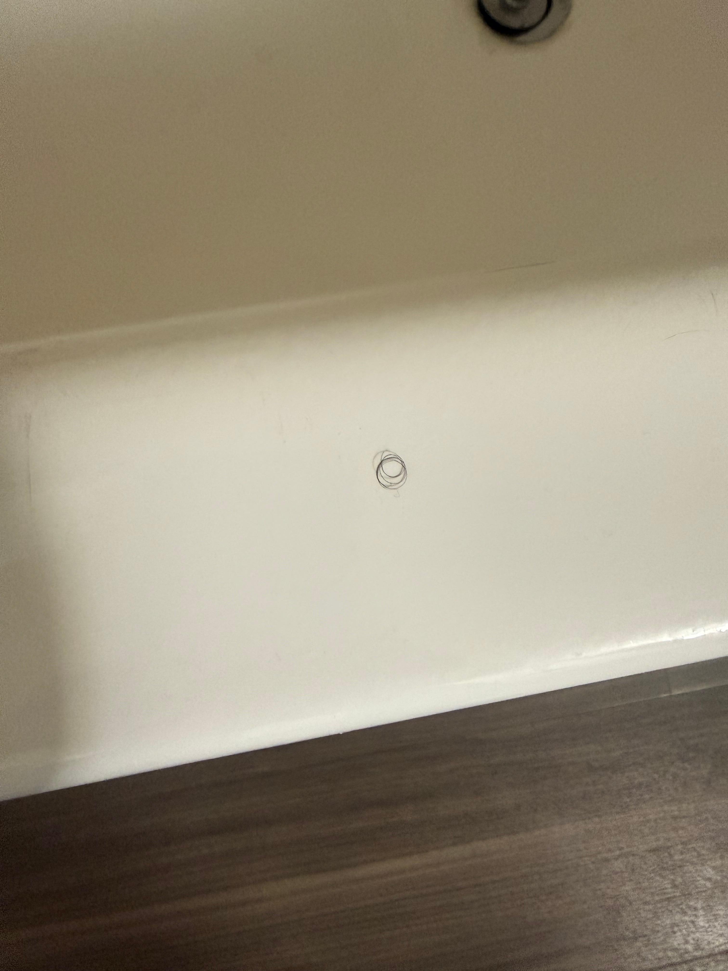 Pubic hair on the bathtub 