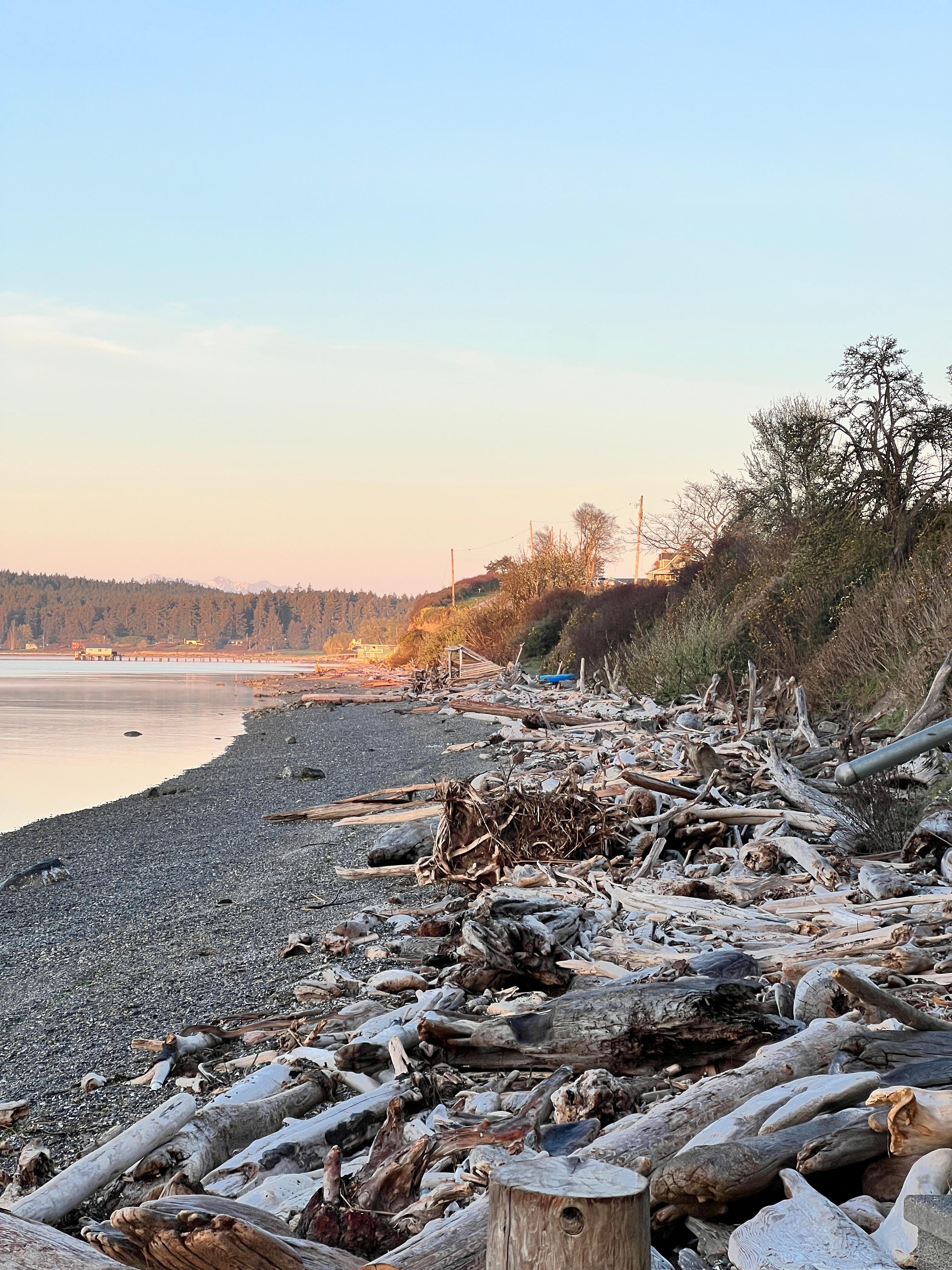 Such a nice beach walk