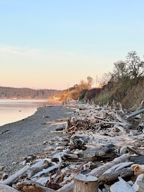 Such a nice beach walk