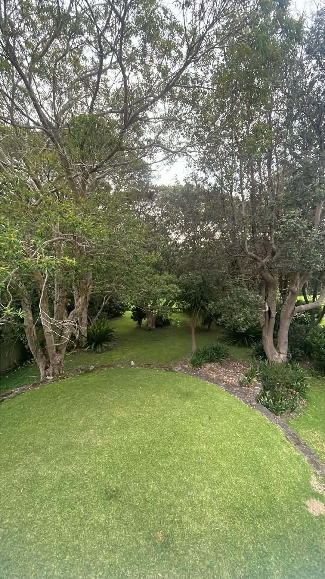 View from balcony over backyard 