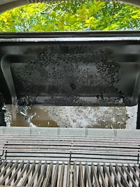 Paint peeling off grill fell in food
