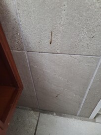 Brown substance on the bathroom wall.