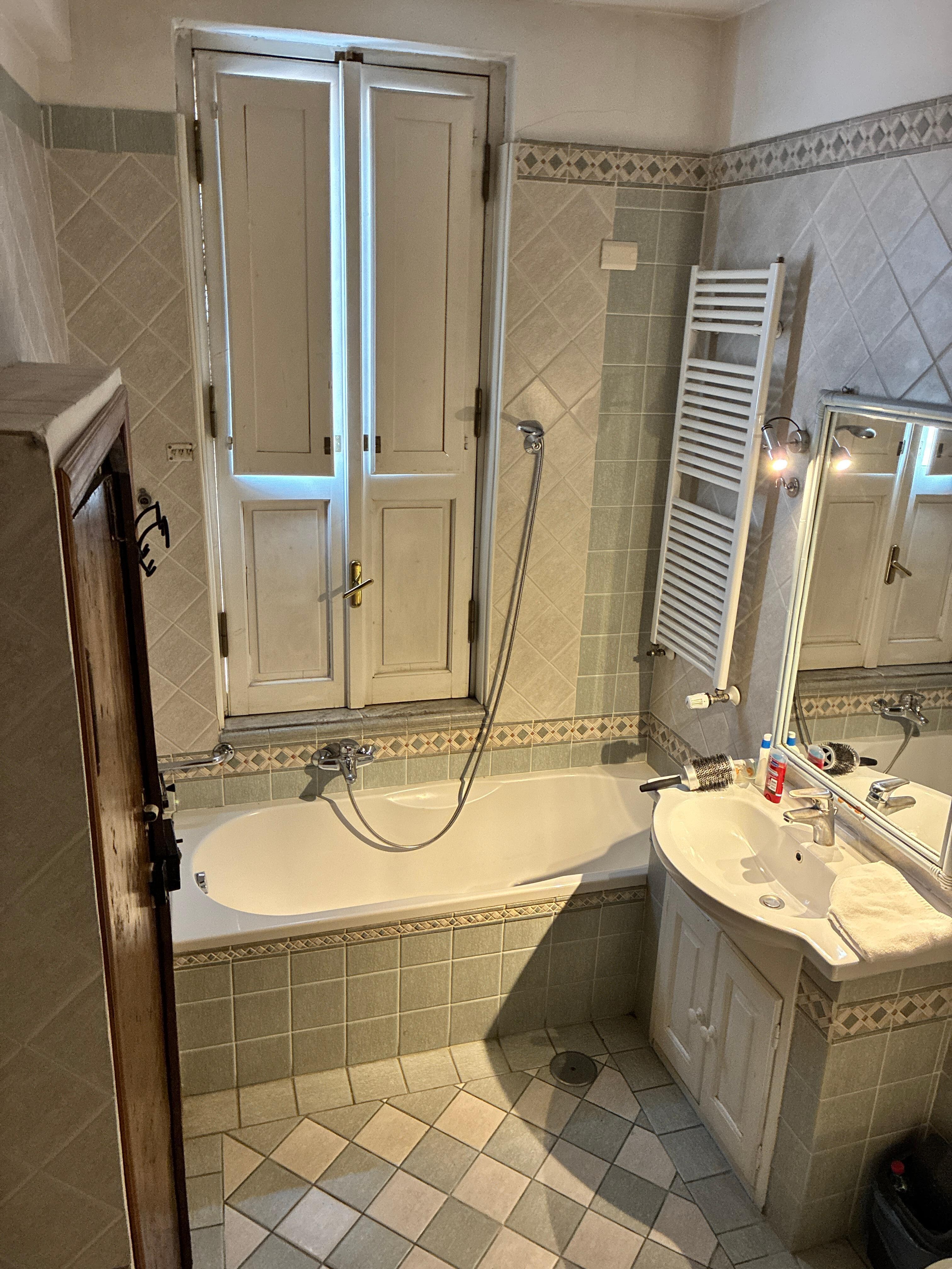 Master bathroom picture from the shower (steps above the bath and toilet)