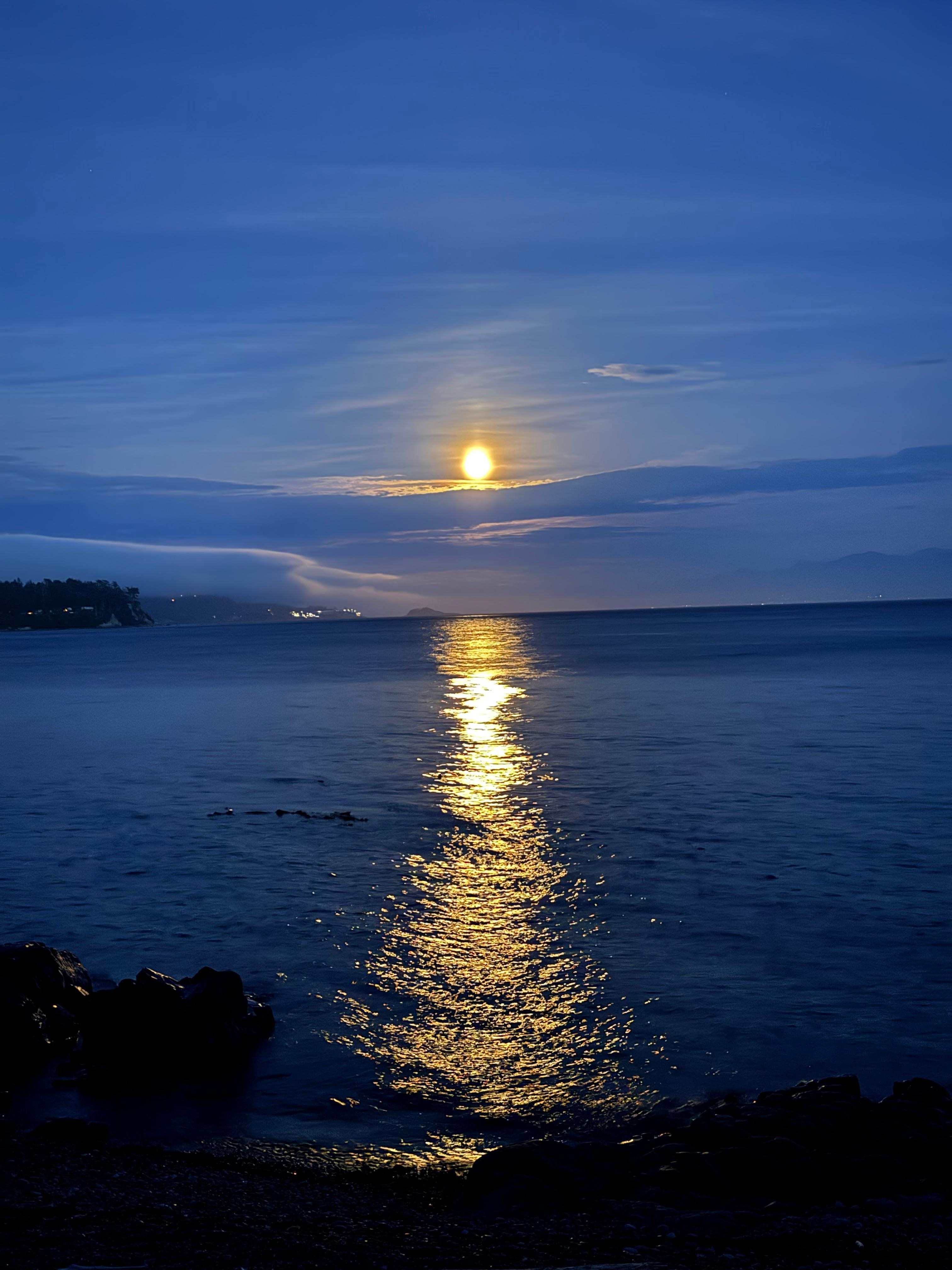 Night view from patio