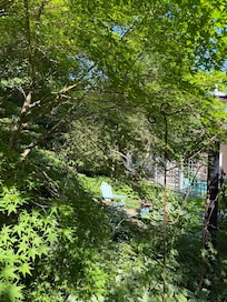 Flower Gardens Surround House