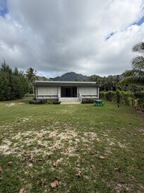 House from the backyard.