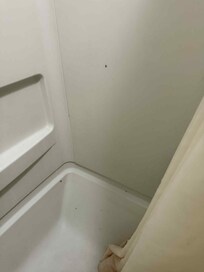 Roaches in tub