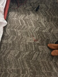 Blood stain on carpet