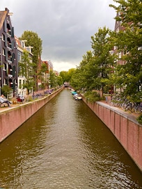 Local scene