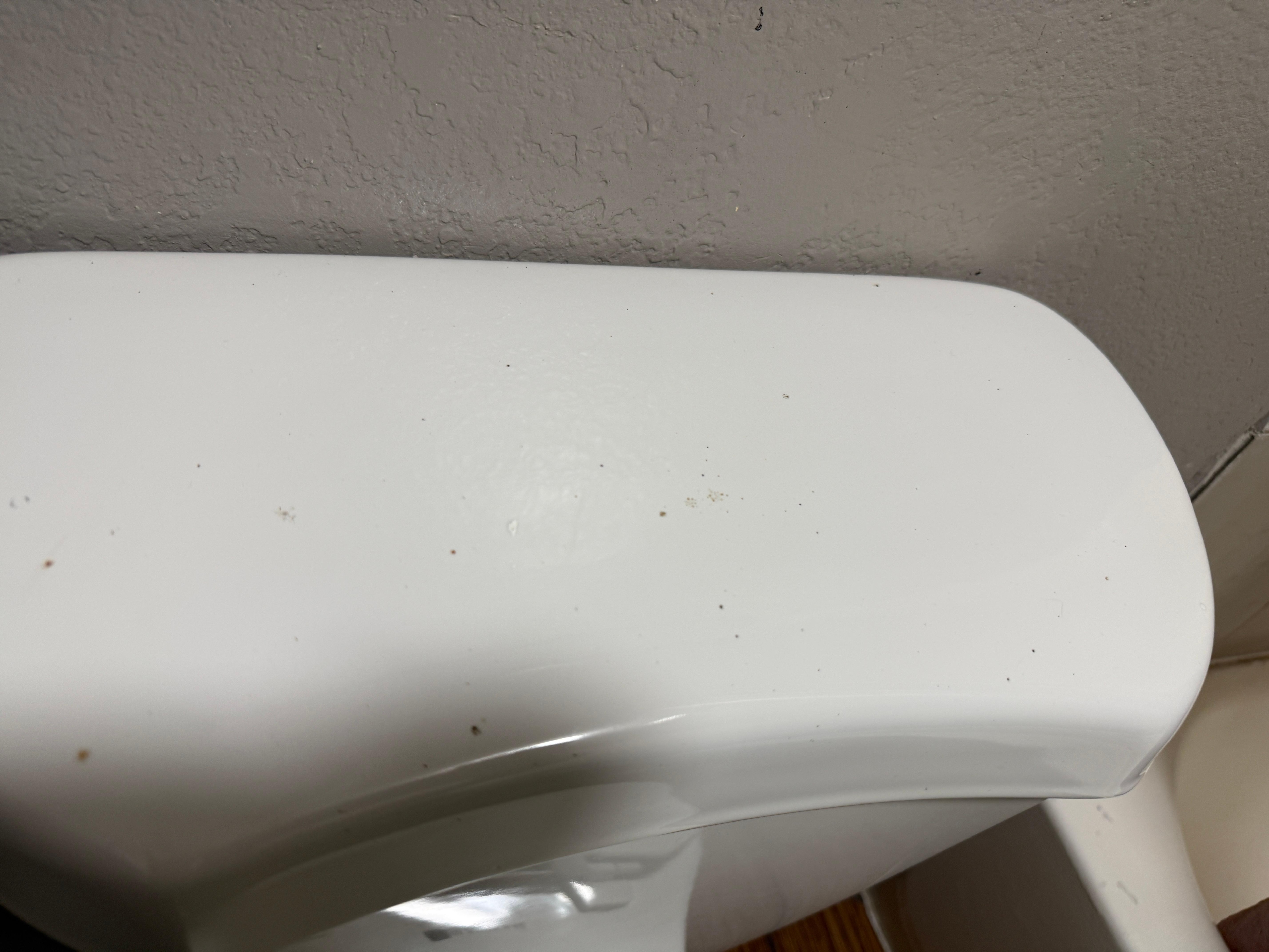 Dirty toilet lid