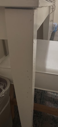Ants invading the desk