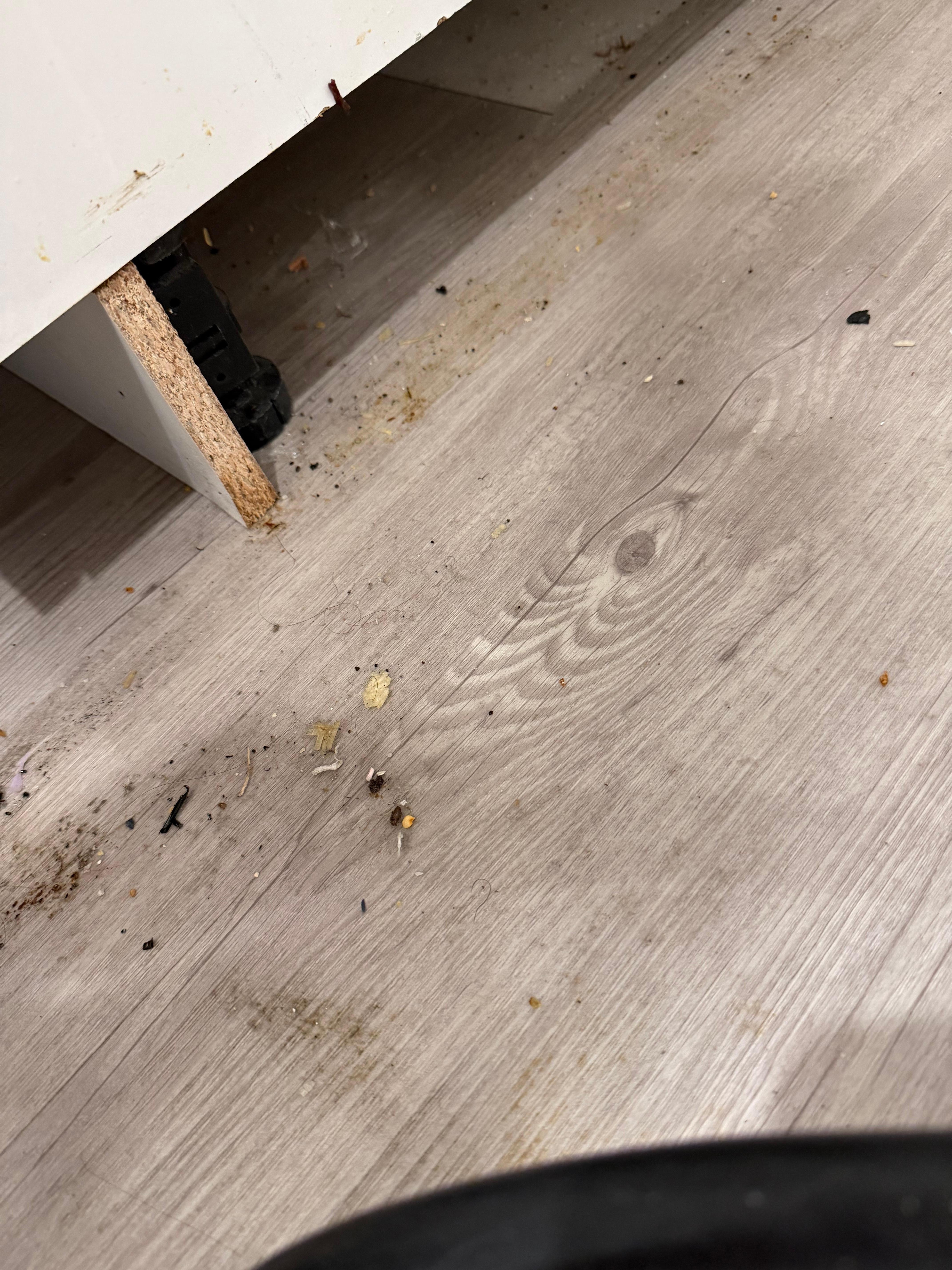 Pulled stove out to catch roach. 