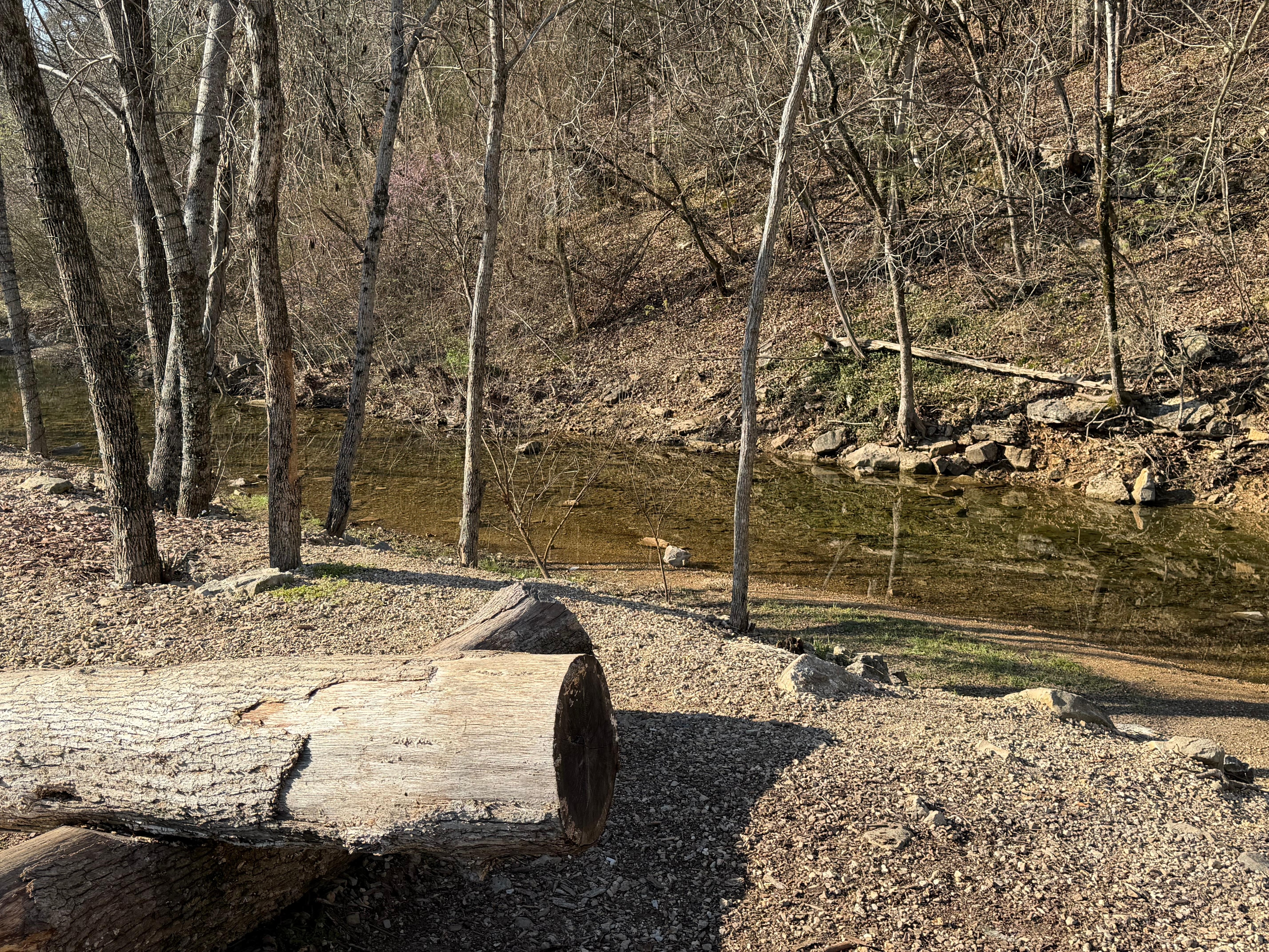 Stream at back of property.