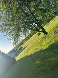 The fields went on forever