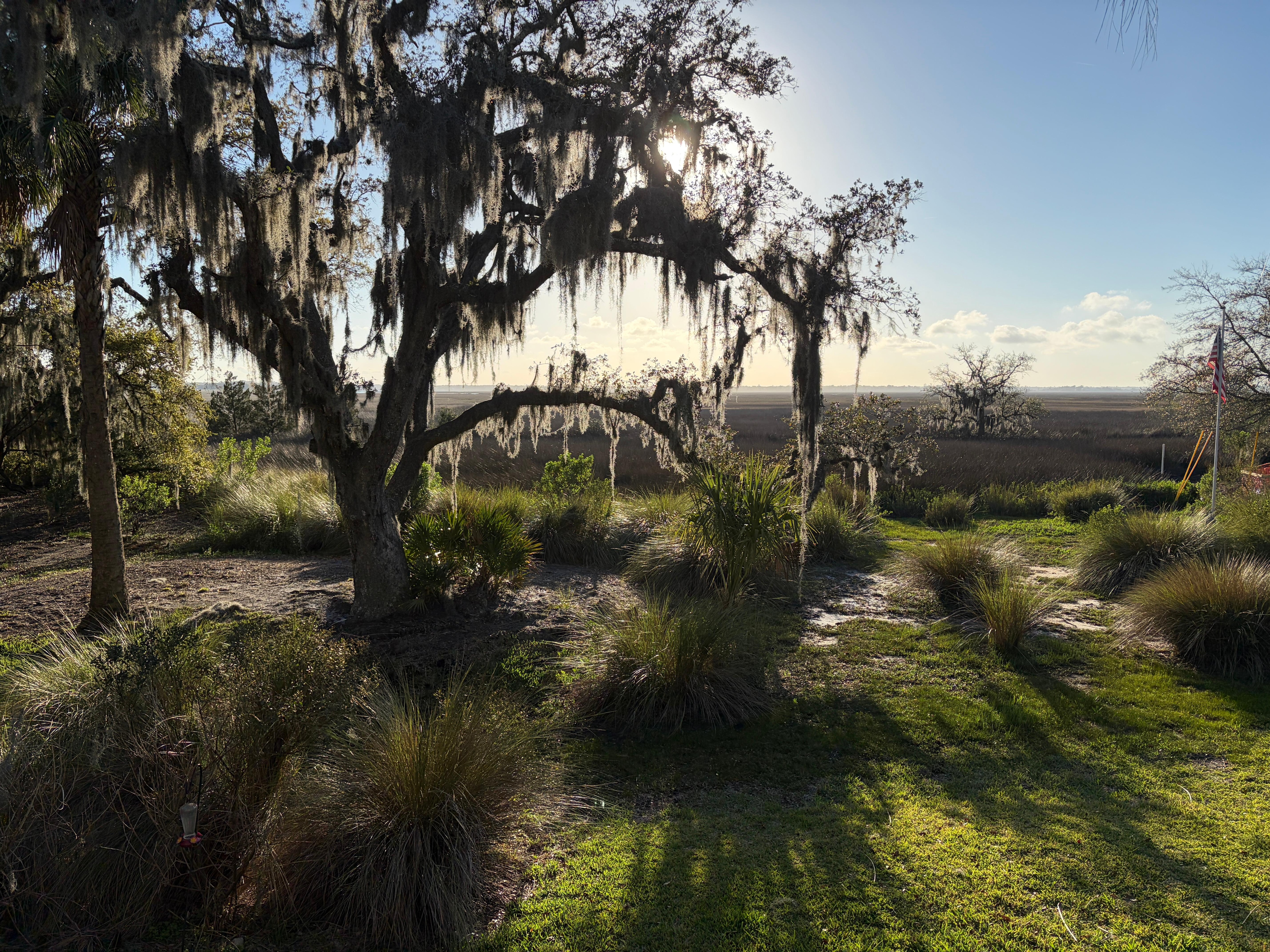 The beautiful view from the front porch. 