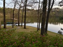 Back yard.