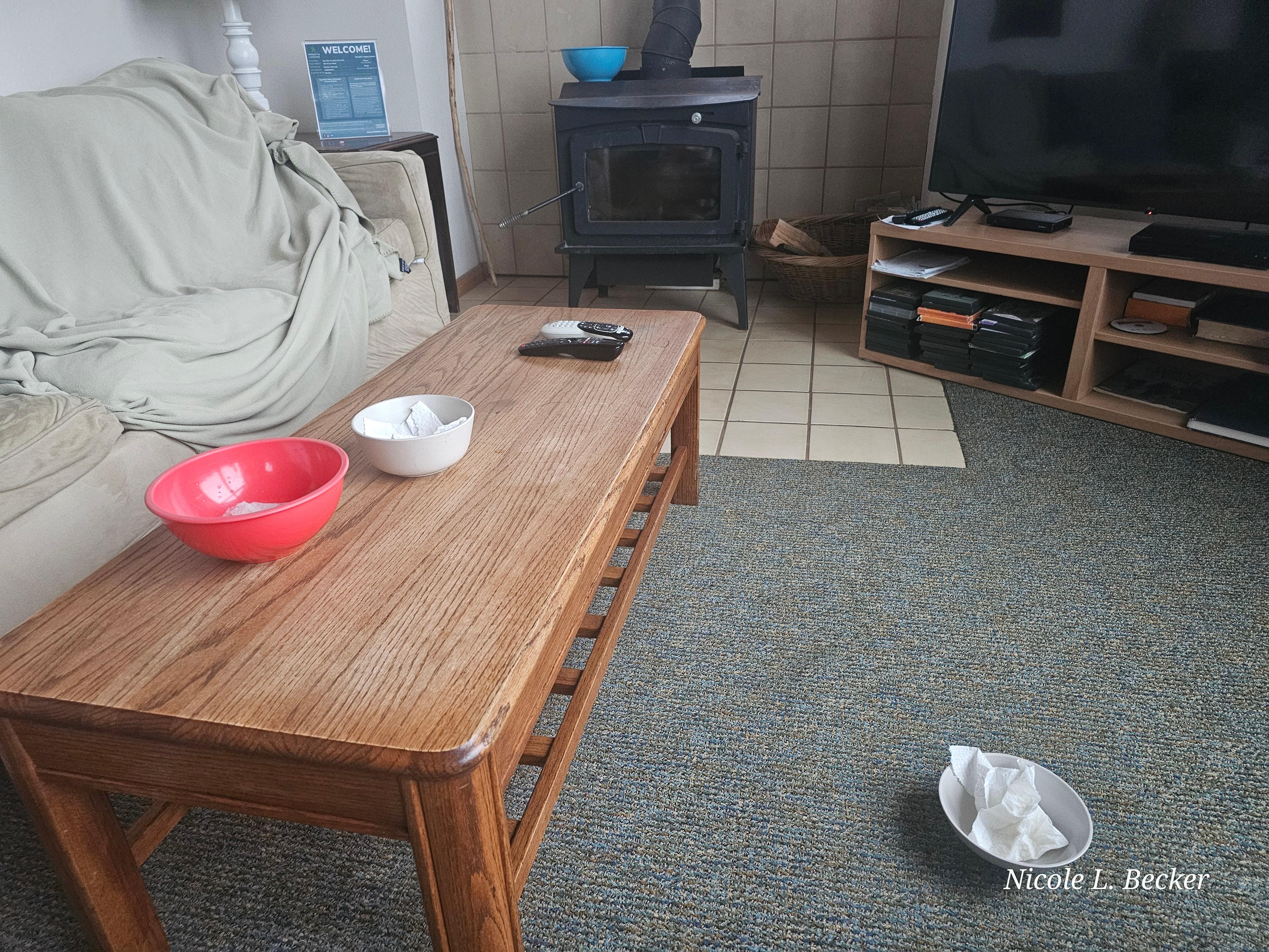 Bowls for the leaking ceiling. 