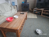 Bowls for the leaking ceiling.