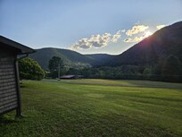 Looking out from side yard