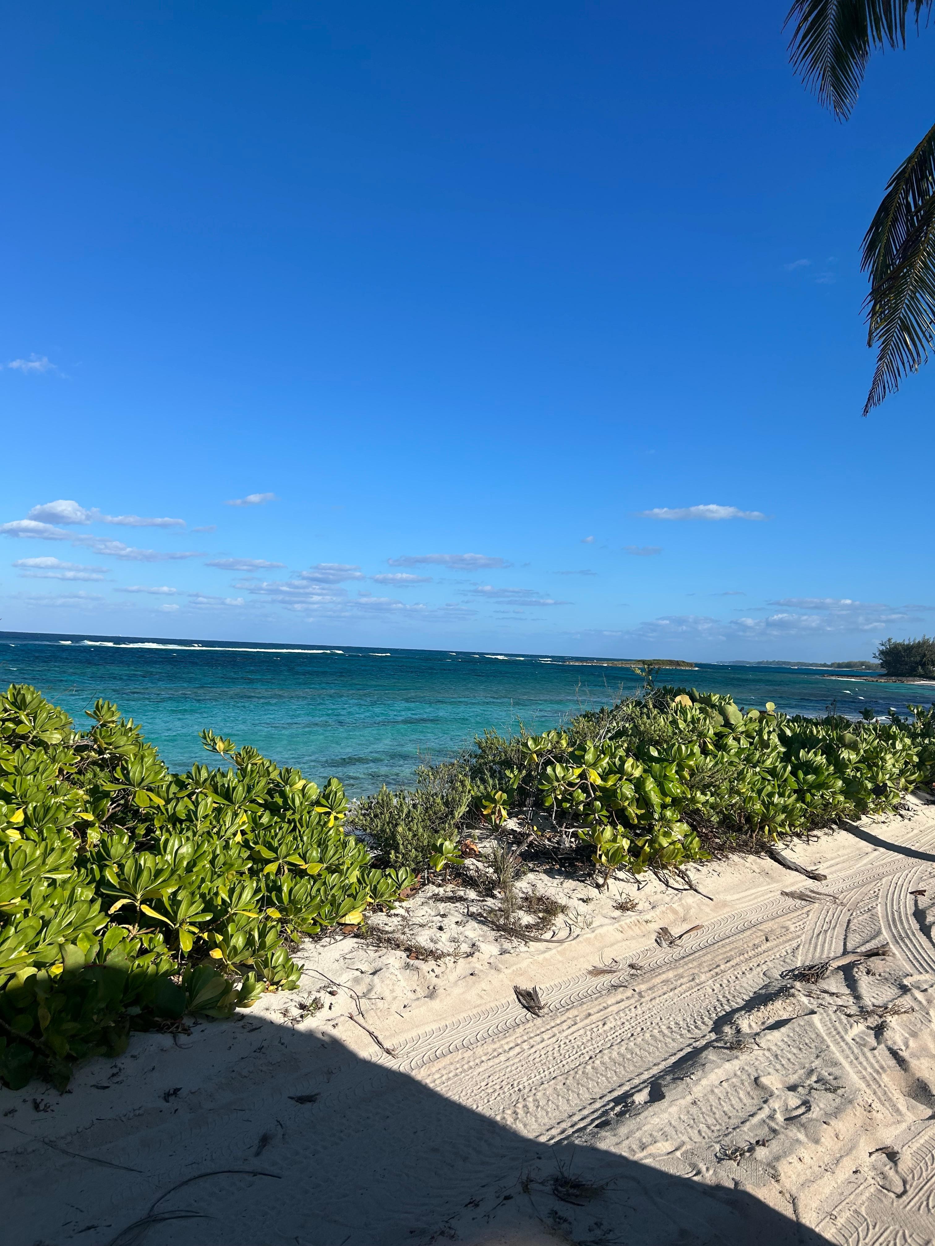 From the stone porch, tiki hut just to the right. Beautiful view 