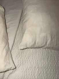 Hair and brown stains on pillows