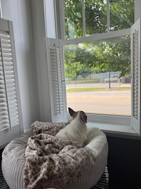Morning coffee views on the covered front porch :-)