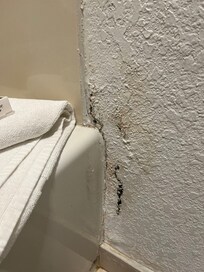 Mold by shower with a clean towel next to it